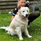 Lieke Anniek Jongeling